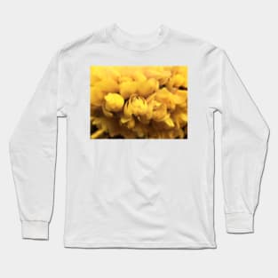 Gorse Bush Flowers (Ulex europaeus) Long Sleeve T-Shirt